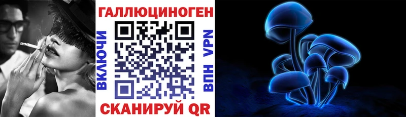 закладки  Александровск  Галлюциногенные грибы Psilocybe 